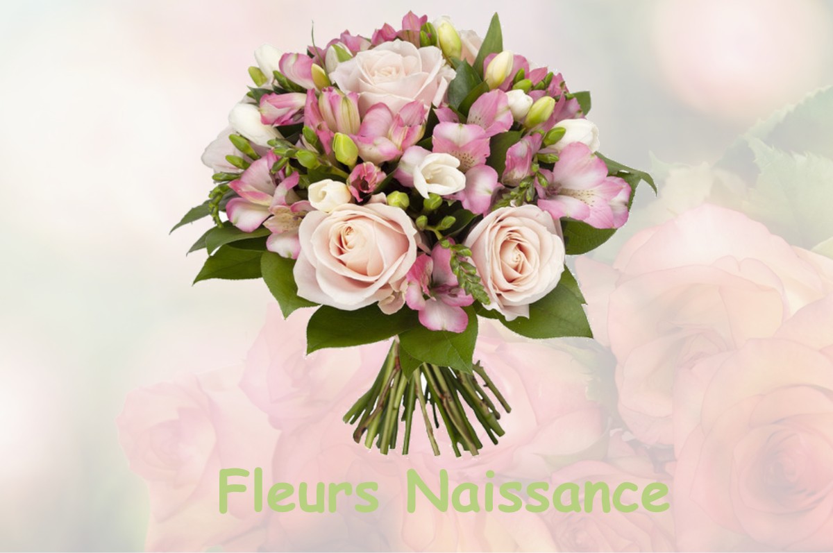 fleurs naissance SAINTE-EUGENIE-DE-VILLENEUVE